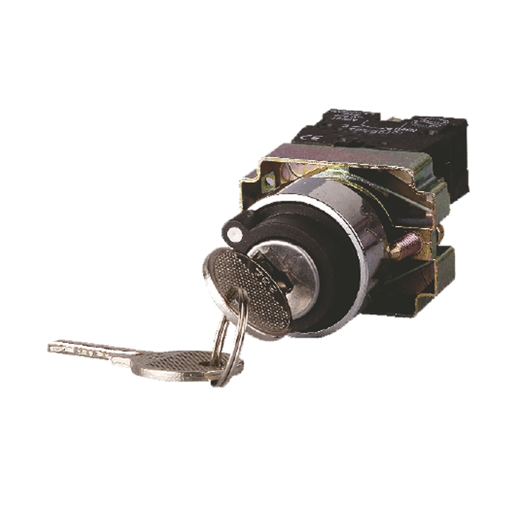 SGB2BG Selectores metálicos selector con llave nº455